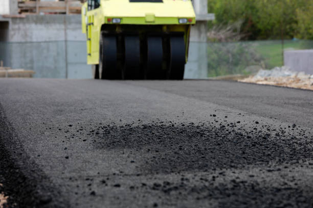 Best Local Driveway Pavers  in Magnolia Springs, AL