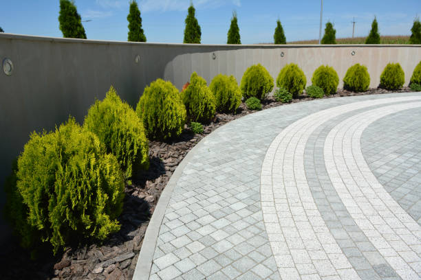 Best Concrete Paver Driveway  in Magnolia Springs, AL